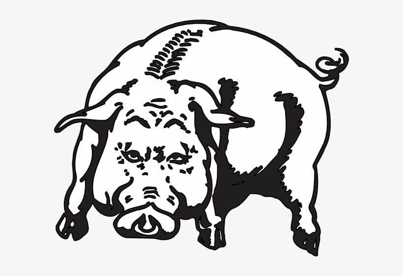 How To Set Use Boar Svg Vector, transparent png