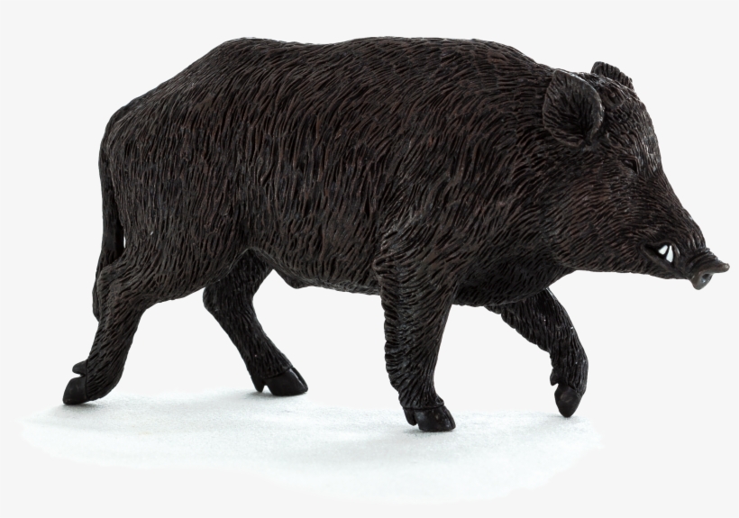 Wild Boar Toys, transparent png