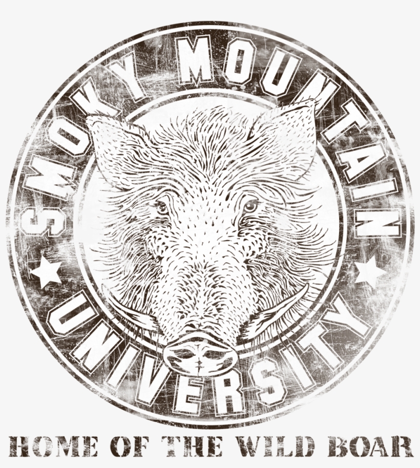 Media Design - Wild Boar, transparent png