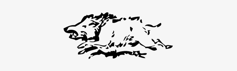 Wild Boar, transparent png
