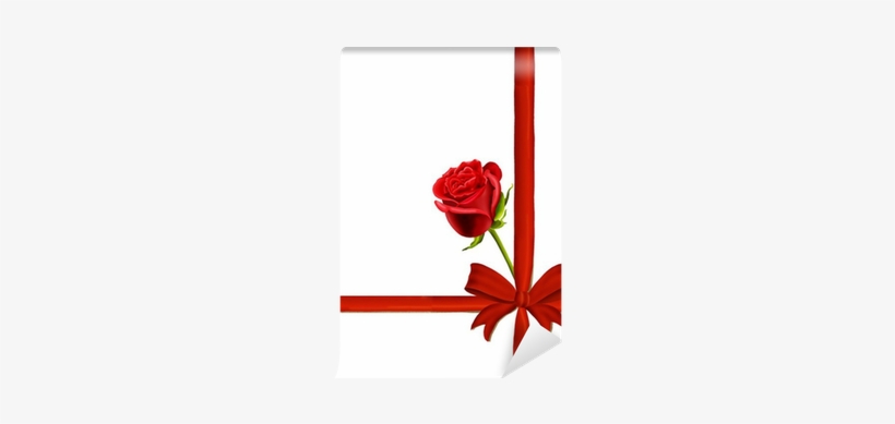 Birthday Or Valentine's Card With A Single Red Rose - Birthday, transparent png