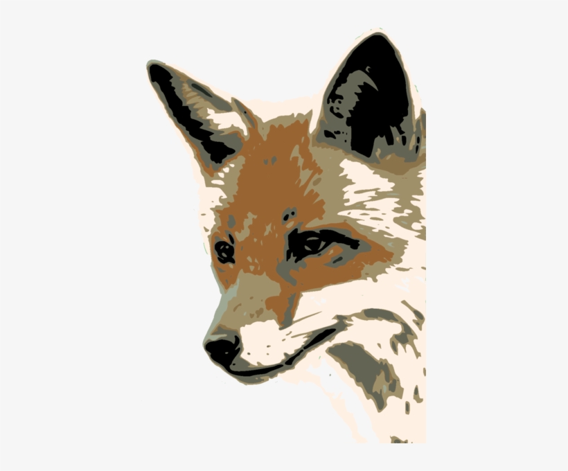 164 × 240 Pixels - Fox Face, transparent png