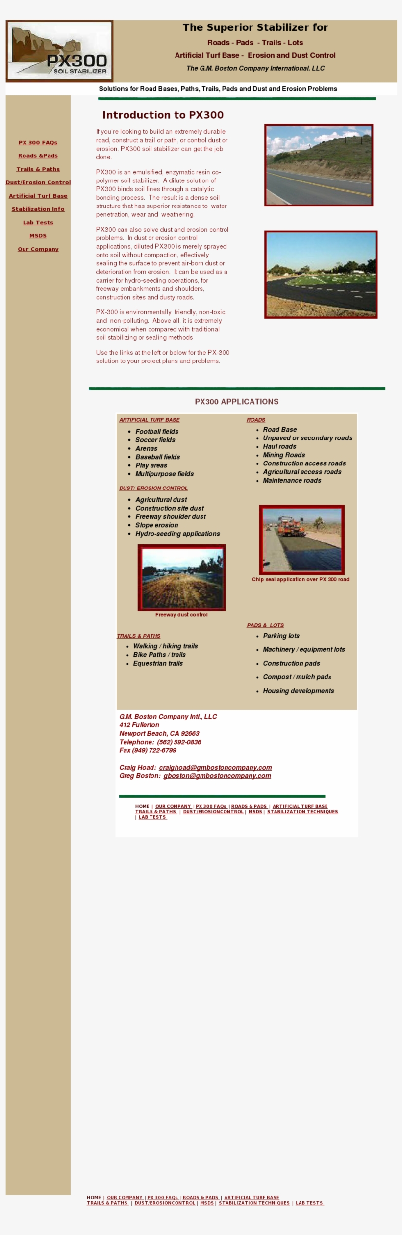 Bison, transparent png