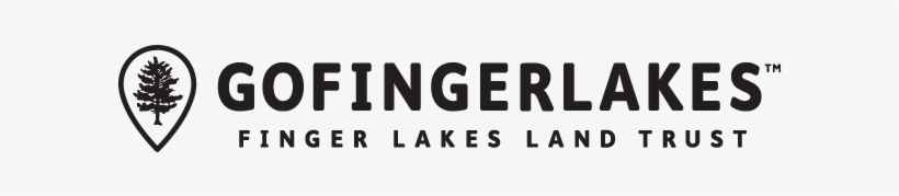 Trail Locations And Conditions May Change And Not Be - Trail Running, transparent png