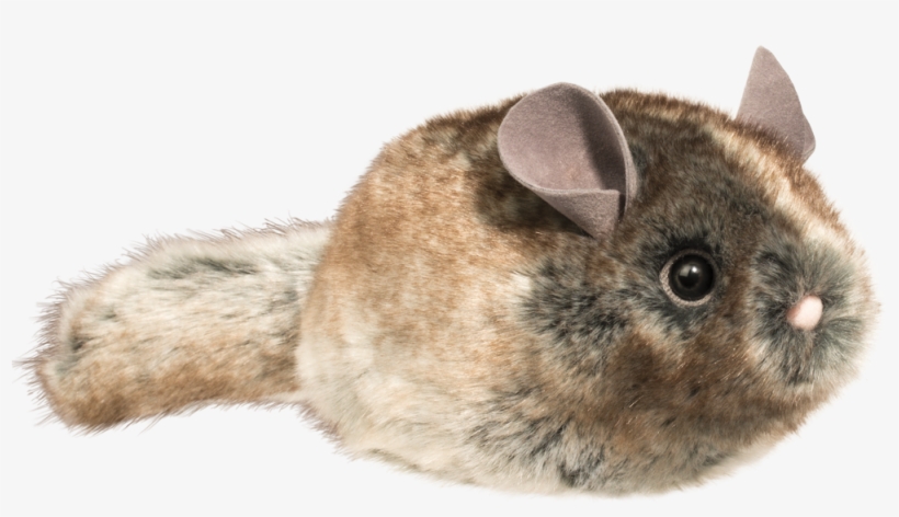 Douglas Toys - Camilla Chinchilla - Douglas 4127 Camilla Chinchilla, transparent png