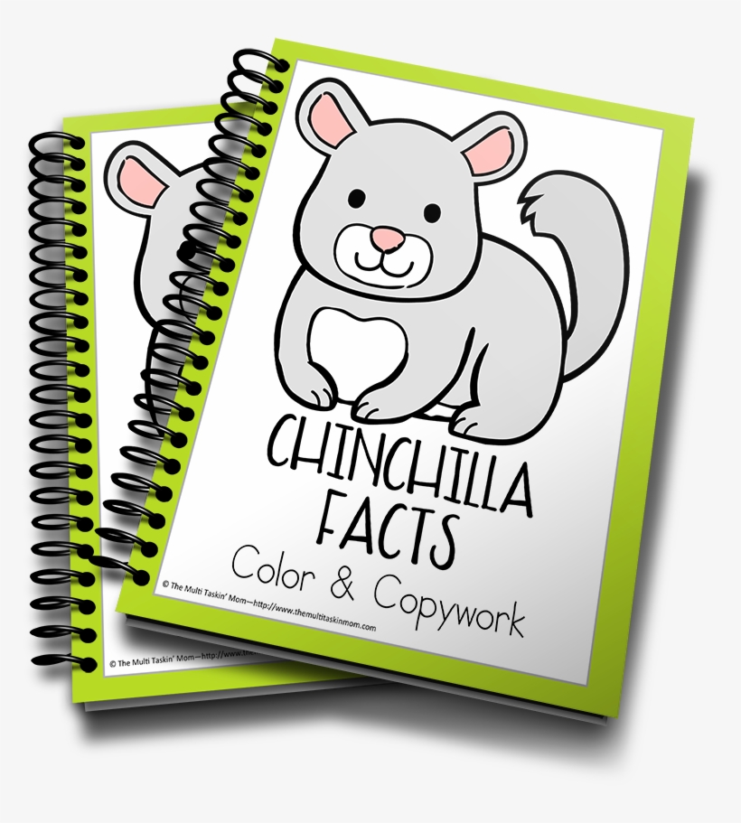 minecraft chinchilla