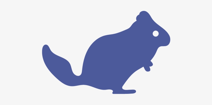 Chinchilla-2 V=1490131702 - Cage, transparent png