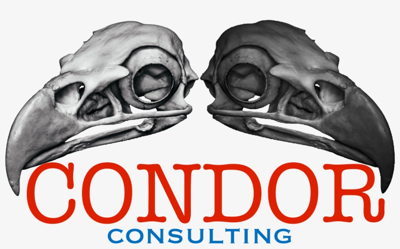 Teespring - Reptile, transparent png