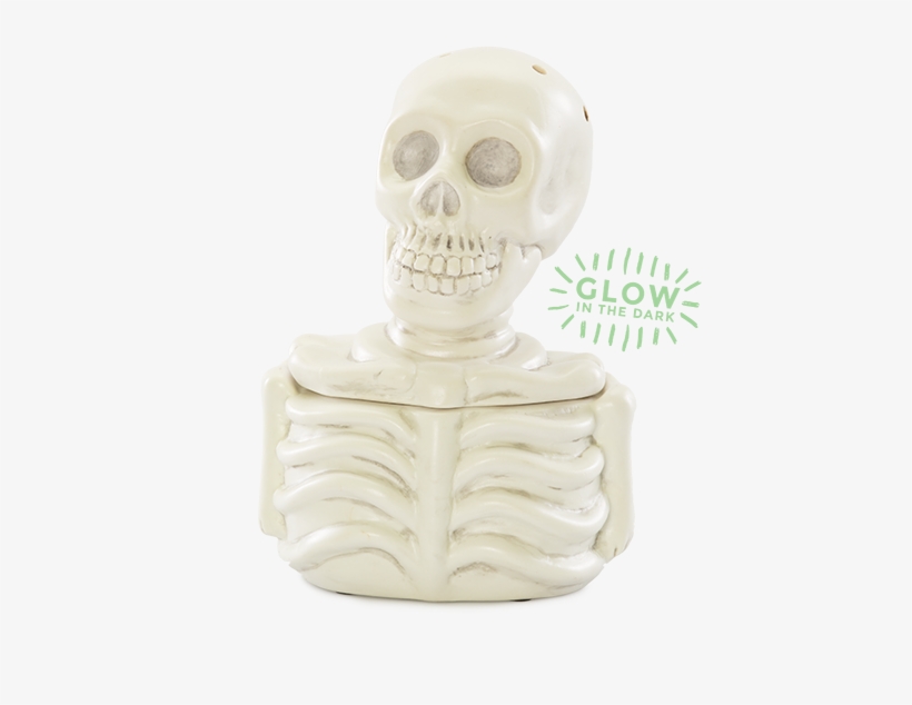 Bones Scentsy Warmer, transparent png