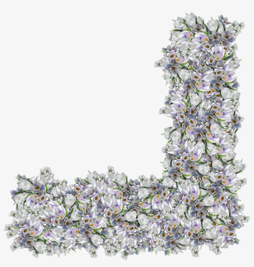 Border Nature Divider Flower Flower Floral Interesting - Scraps Png, transparent png