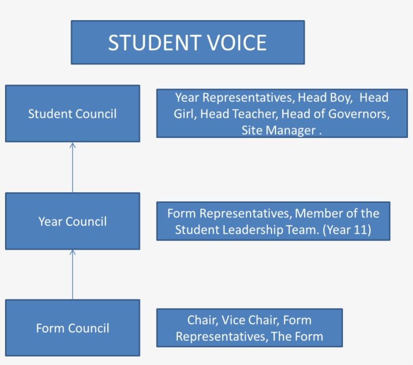 Court Moor Student Voice - Student Court, transparent png