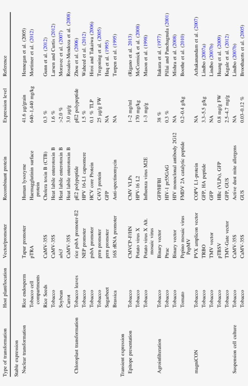 Comparison Of Stable And Transient Expression Systems - Transient Expression, transparent png