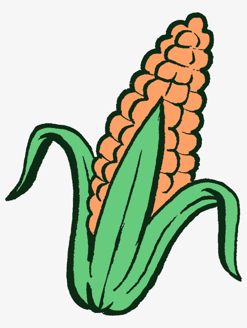 This Process Continues, With The Slightly Taller Plants, transparent png