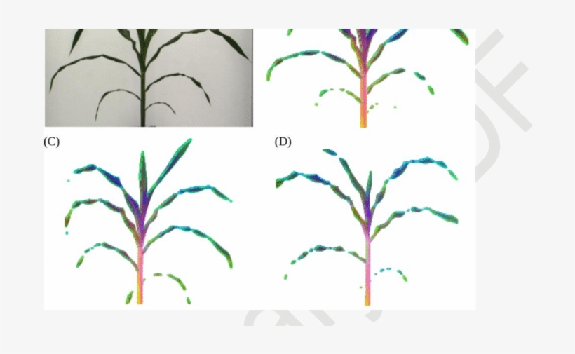 Segmentation And Visualization Of Variation In Hyperspectral - Drawing, transparent png