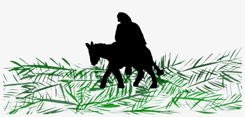 Palm Sunday - Palm Trees, transparent png