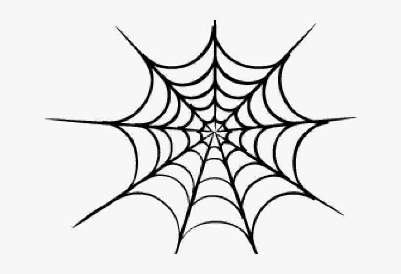 Spider Web Vector Png, transparent png