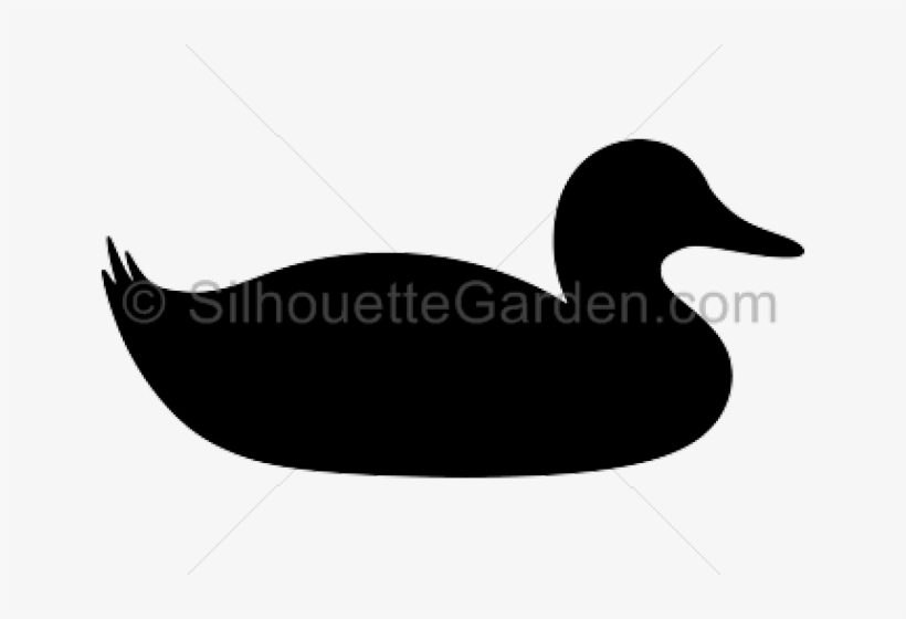 Duck On Water Silhouette, transparent png