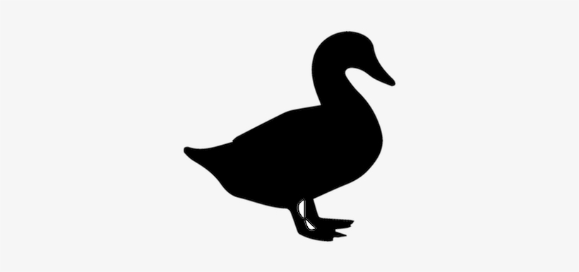 Southern Maryland Duck Producers - Duck Layer Vector Silhouette, transparent png