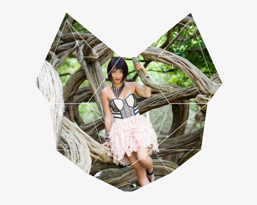 Without Doubt, Dj Icon Has Become An Iconic Figure - Biographical Film, transparent png