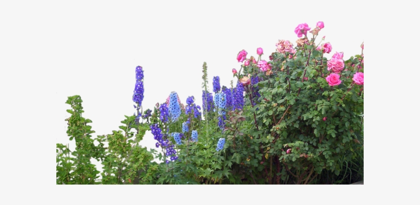 Flowers Garden - Overstock.com Monticello Black Mojave Greenhouse (8x16), transparent png