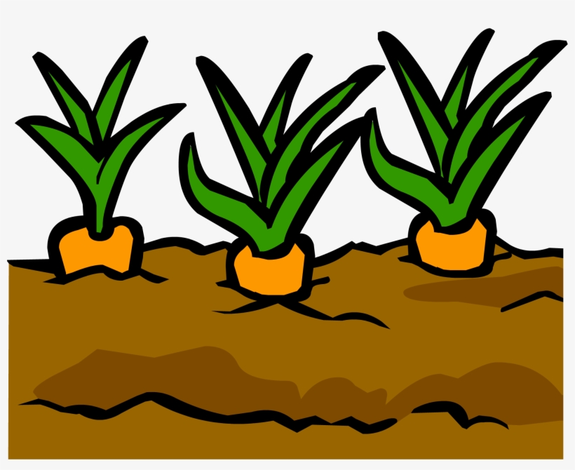 Garden - Garden Club Penguin Wikia, transparent png