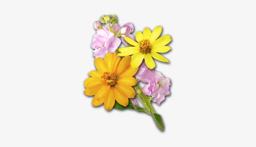 Rock Hill, Sc Garden Center - Artificial Flower, transparent png