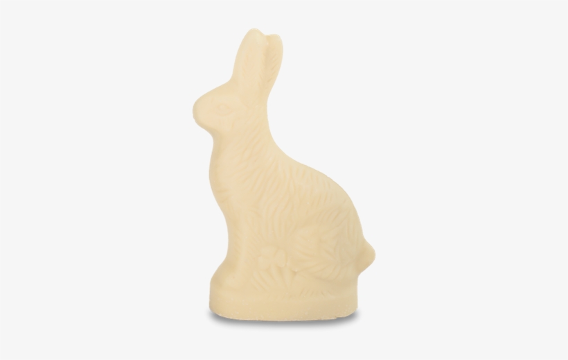Domestic Rabbit, transparent png