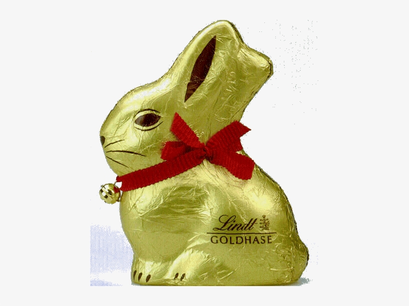 Domestic Rabbit, transparent png