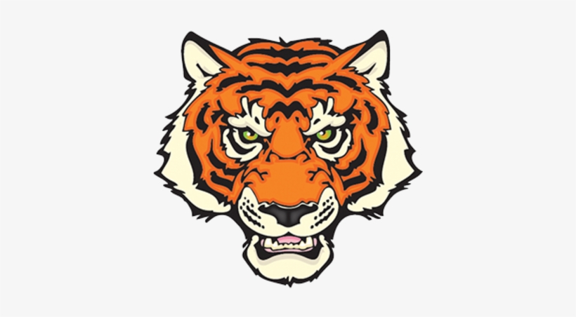 El Paso Hs Girls Basketball - Tiger With A Tennis Ball, transparent png