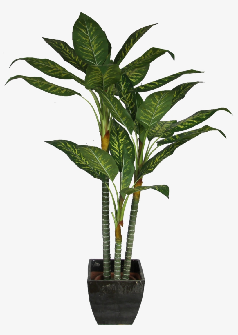 Office Plant Png For Kids - Plant Cut Out Png, transparent png