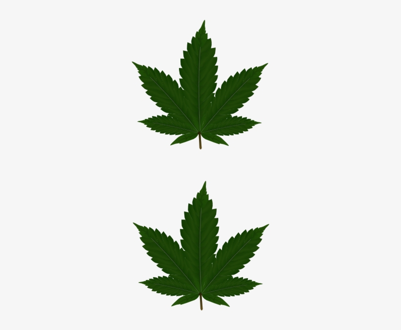 Marijuana Leaf Design Png, transparent png