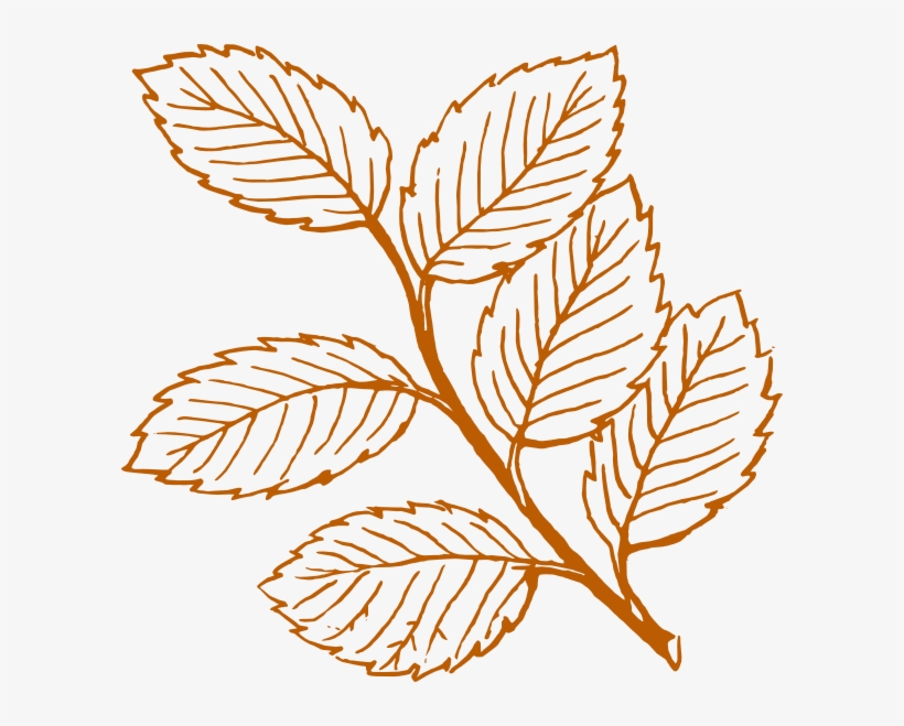 Burnt Orange Leaves Clip Art At Clker Com Vector Clip - Leaves Clip Art, transparent png