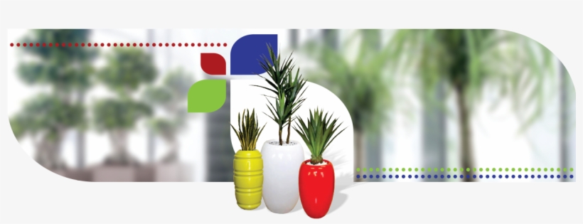 Silk Office Plants - Houseplant, transparent png