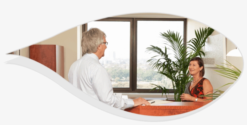 Plant Hire Services - Plants, transparent png