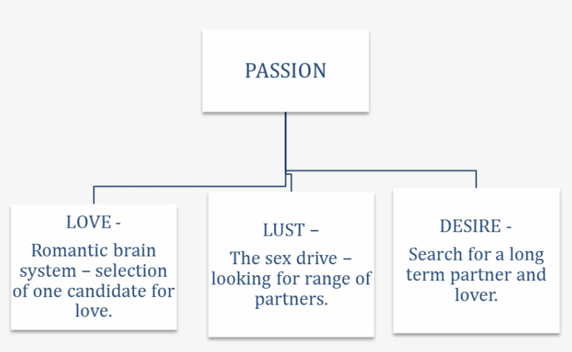 Url, Http - //journals - Openedition - - Passion, transparent png