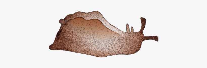 201208 Sea Hare - Elk, transparent png