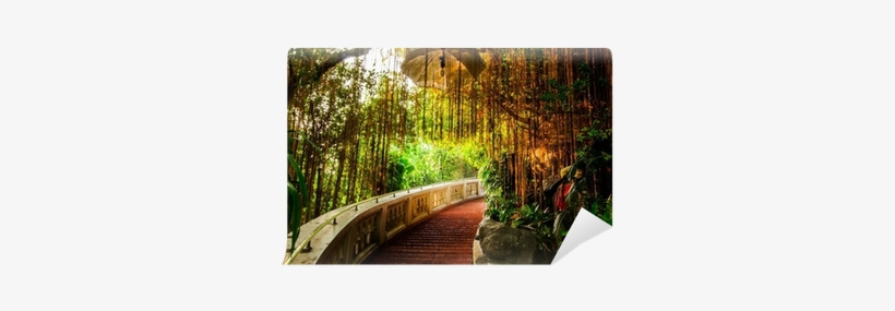 Stair Way In Park With Gold Light Wall Mural • Pixers® - Photograph, transparent png