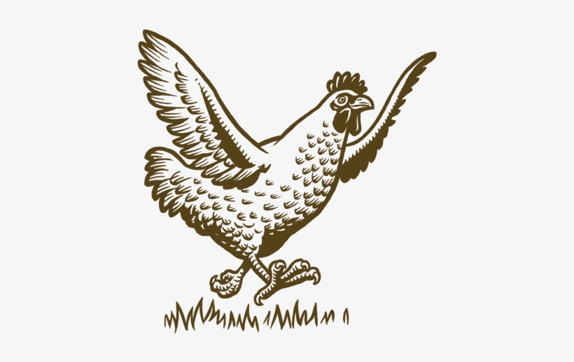 Why Choose Frenz Free Range Eggs - Chicken, transparent png
