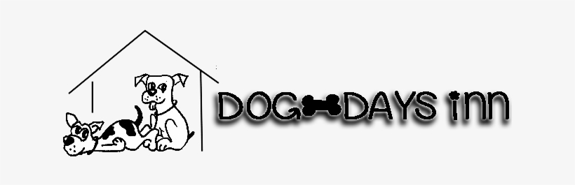 Logo, transparent png