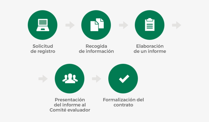 Proceso De Certificación Para Que Tu Empresa Consiga - Circle, transparent png
