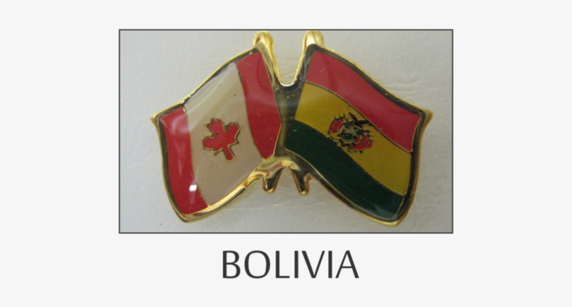 Flag Lapel Pins - Lapel Pin, transparent png