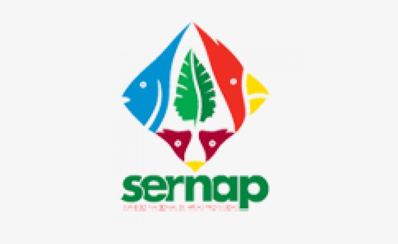 National Service For Protected Areas Of Bolivia - Sernap Png, transparent png
