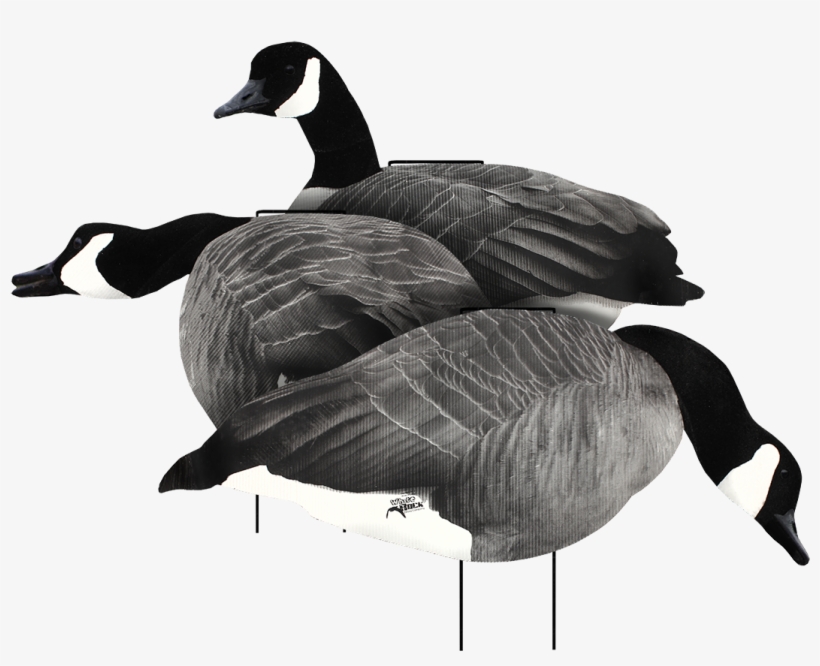 Canada Goose Flocked Head Silhouette Decoy - White Rock Decoys 2d Flocked Rockonomy Silhouettes, transparent png