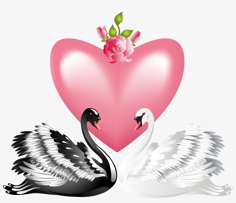 White Black Swan Png, transparent png