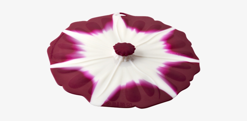 Petunia, transparent png