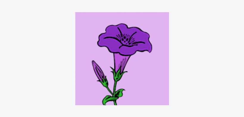 Petunia 1-600x315 - Clip Art Morning Glory Logo, transparent png