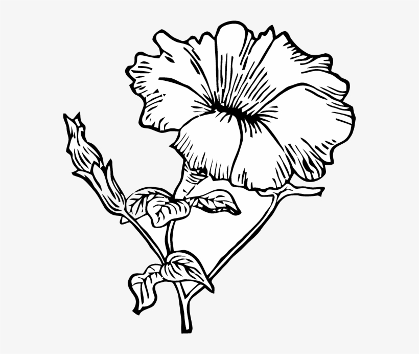 Petunia Flowers Clipart 3 By Jessica - Petunia Clip Art, transparent png