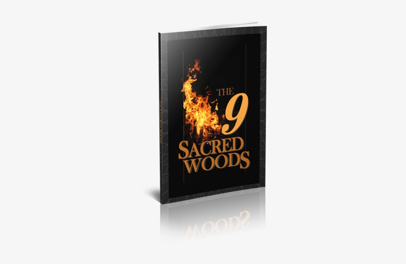 6db58728cb091489381184 9 Sacred Woods Cover 3 Edited - Samhain, transparent png
