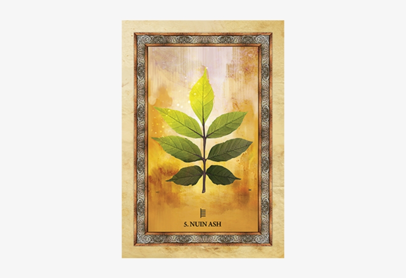 Celtic Tree Oracle, transparent png