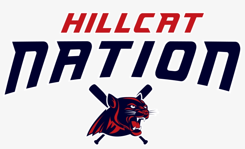 Interested In Becoming A Sponsor And Partnering With - Cartoon, transparent png